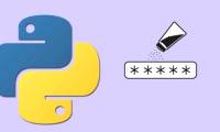 The hash () function in Python