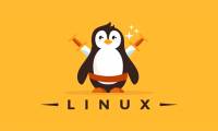 The interesting mystery behind how to put code names and numbers of famous Linux distributions, you know?