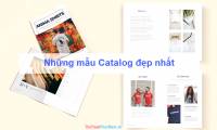 The most beautiful Catalog samples