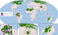 The new map reveals the global wilderness decline