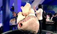 The process of turning 200kg whale hearts into 'plastic hearts' is not decomposed