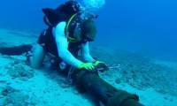 The progress of troubleshooting AAG and SMW-3 submarine cable was prolonged until the end of December