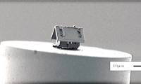 The smallest house in the world is only 15 micrometers, to observe must use a microscope
