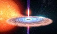 The streams of plasma sprayed from black holes can kill anything