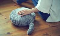 The therapeutic robot, Qoobo cat only knows one thing to wag its tail
