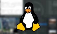 These Linux distros are used in IoT devices