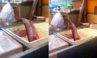 This is the reason why fish lose their heads, filtering bones still jumping on the tray
