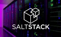 Thousands of servers are affected by the flaw on SaltStack RCE