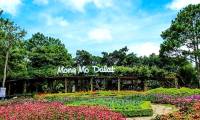 Top 10 beautiful and attractive tourist destinations in Da Lat