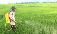 Top 10 best-selling pesticide sprayers today