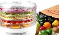 Top 5 low cost, quality family fruit dryers