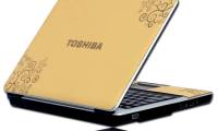 Toshiba Satellite L310-P4013 collection of carved leather