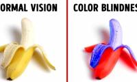 Try to see what the world looks like in the eyes of the color blind
