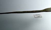 Turkey discovered writing tools 1,800 years old