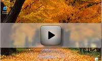 Turn off Autoplay in Windows 10, XP