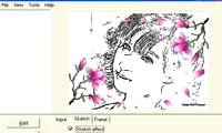 Turn the digital image into a sketch with Sketch Master
