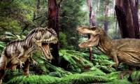 Tyrannosaurus T-rex and Giganotosaurus, which one will win?