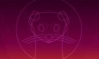 Ubuntu 20.04 will be released in early 2020 with the name Focal Fossa