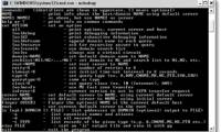 Use NSLOOKUP to diagnose the DNS Server