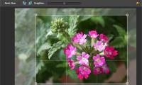 Use the online Photoshop photo editor