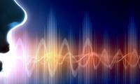 Using a fake voice created by AI, the crook pretends to be the president tricking the CEO $ 243,000