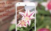 Using Google Lens to convert images into words, find information easily