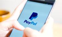 Utilities PayPal payment gateway for you