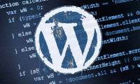 Warning: Dangerous security holes in Wordpress platform, hackers can take advantage to take control of the website