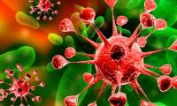 Warning: Detect a new bird virus that has been infected with MRSA