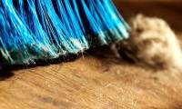 Warning: Found 45 new toxins in the dirt in the house