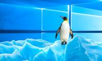 What do Windows and Linux have in common?