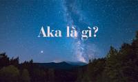 What does AKA mean?