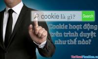 What is a cookie? What do cookies do and how do they work in the browser?