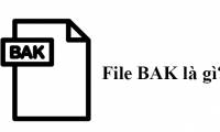 What is BAK file?  How to open and convert BAK files