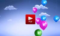 What is FLV file?  How to open FLV file on computer?