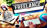 What is Freelancer?