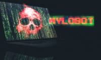 What is Mylobot and how does this malware work?