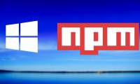 What is npm shrinkwrap and when should it be used?