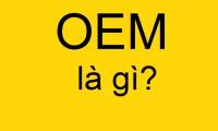 What is OEM?