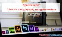 What is opacity? How to use Opacity in Photoshop