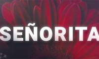 What is senorita?
