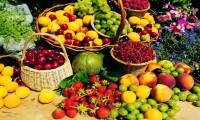 What is the best time to eat fruit at the time of day?
