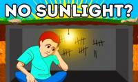 What will happen to our body if the Sun suddenly disappears?