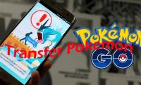 What will you do when there are multiple Pokemon in Pokemon GO?