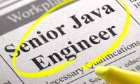 Which career Java programming options are waiting for you?