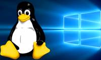 Which Linux distros will Windows 10 put into Windows 10?