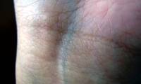 Why are human veins green while blood is red?