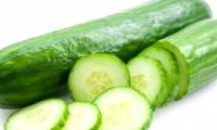 Why is cucumber bitter and how to fix it?