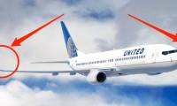 Why is the tail of the wing curved so oddly?