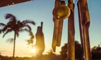 Wind chimes can encourage children to eat more green vegetables